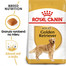 ROYAL CANIN Golden Retriever Adult 2 x12 kg granule pre dospelého zlatého retrievera