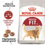 ROYAL CANIN Fit 2 x 10 kg granule pre správnu kondíciu mačiek