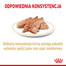 ROYAL CANIN Pomeranian Adult  paštéta 12x85g
