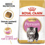 ROYAL CANIN Persian Kitten 2 x 10 kg granuly pre perzské mačiatka