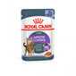 ROYAL CANIN Appetite Control Gravy 12x85 g