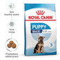 ROYAL CANIN Maxi Puppy 1 kg granule pre šteňatá veľkých plemien