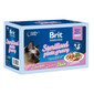 BRIT Premium by Nature Cat Delicate Fillets in Gravy Family Plate Sterilised 12x85g strava v omáčke pre dospelé sterilizované mačky