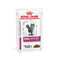 ROYAL CANIN Veterinary Diet Cat Renal Beef Pouch 12 x 85 g