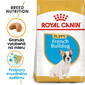 ROYAL CANIN French Bulldog Puppy 10kg granule pre šteňa francúzskeho buldočka