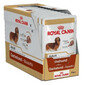 ROYAL CANIN Jazvečík Adult 12x85g