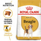 ROYAL CANIN Beagle adult 12 kg