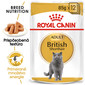 ROYAL CANIN British Shorthair Gravy 12x85g