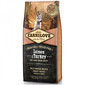 CARNILOVE Carnilove Salmon & Turkey for Large Breed Puppy 12 kg